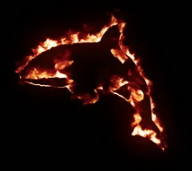 BURN