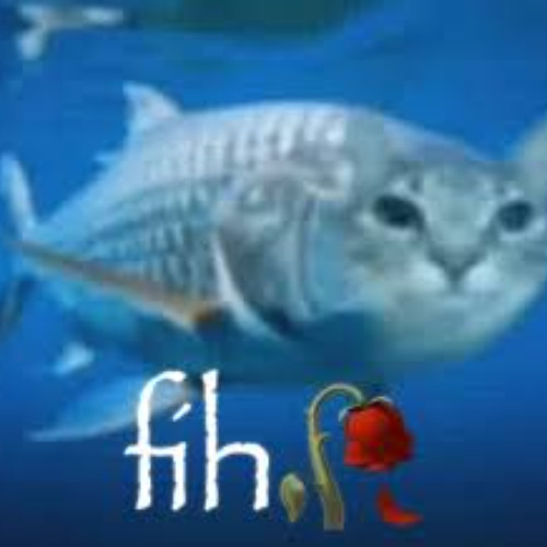 FIH